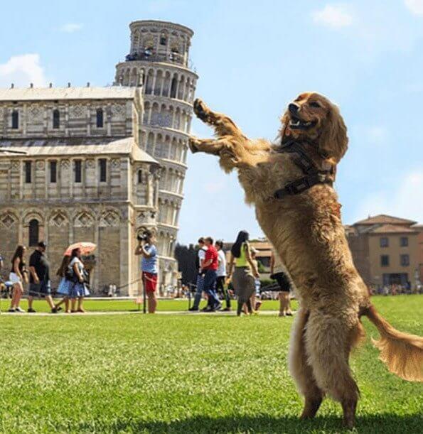 Algum Digno Segurando a Torre Inclinada de Pisa