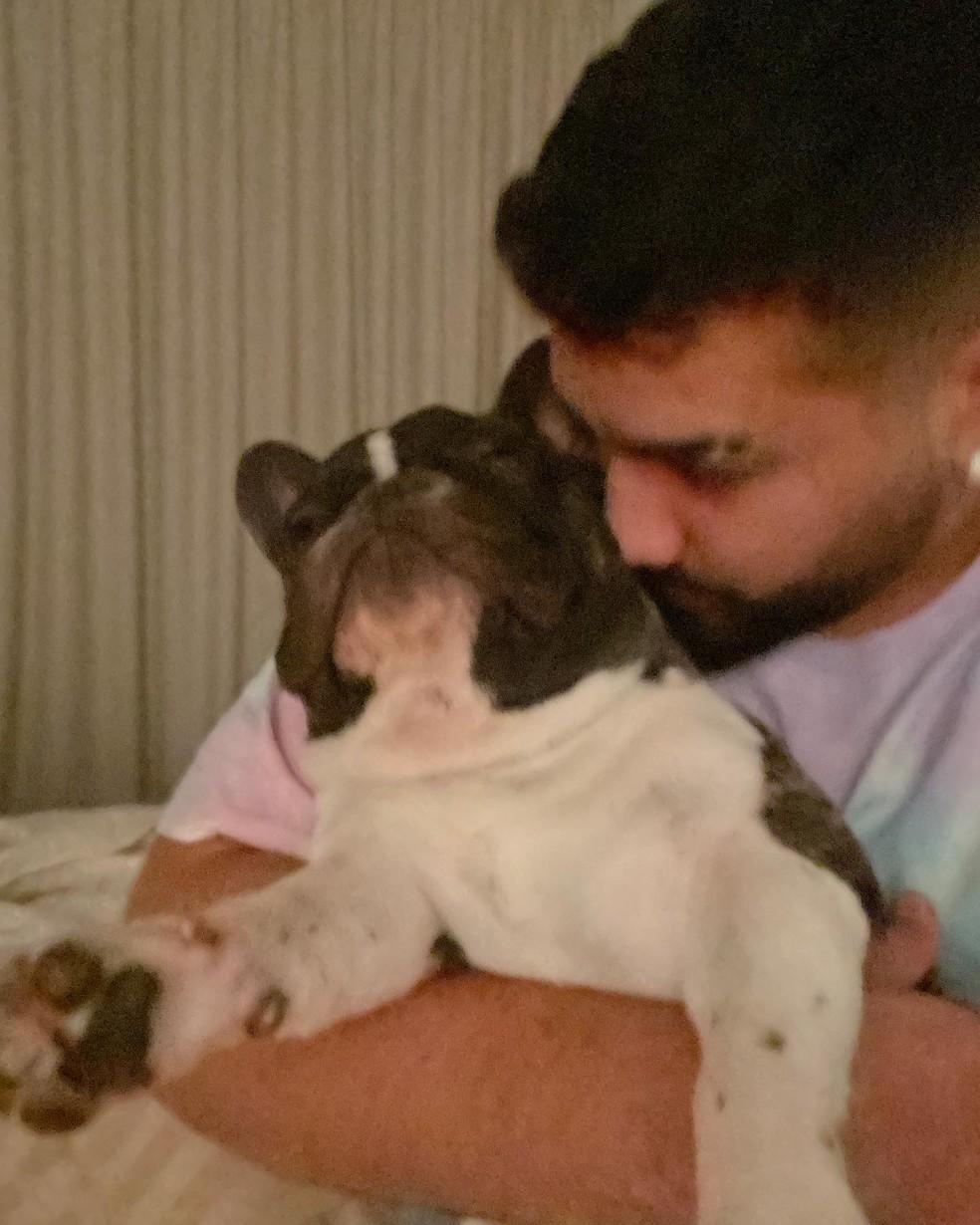 Dilsinho lamenta morte de Diego seu bulldog francs Foto ReproduoInstagram