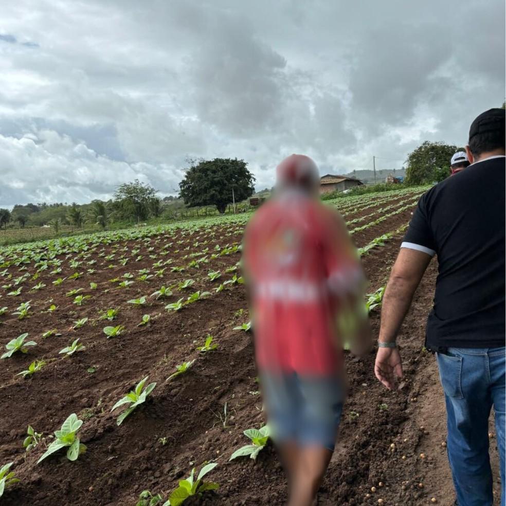 Image: https://mulherinteressante.com/wp-content/uploads/2024/06/postiimg-667deef4a2a693795.jpeg Suspeito foi preso preventivamente e est disposio da Justia Foto Polcia Civil de Alagoas
