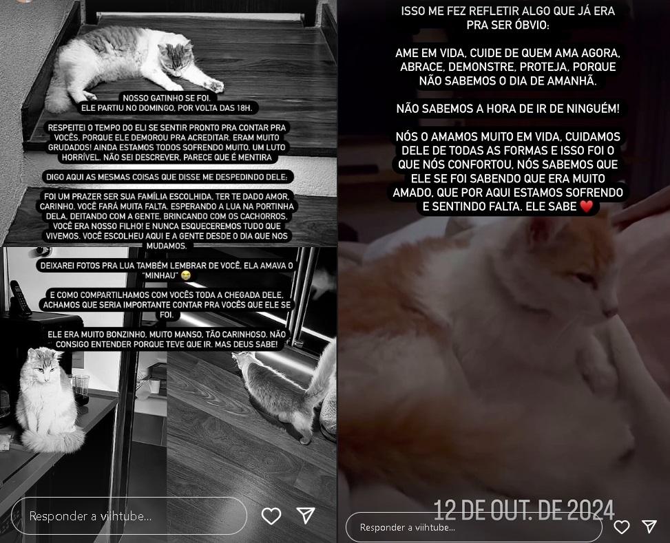 Stories de Viih Tube ReproduoInstagram 