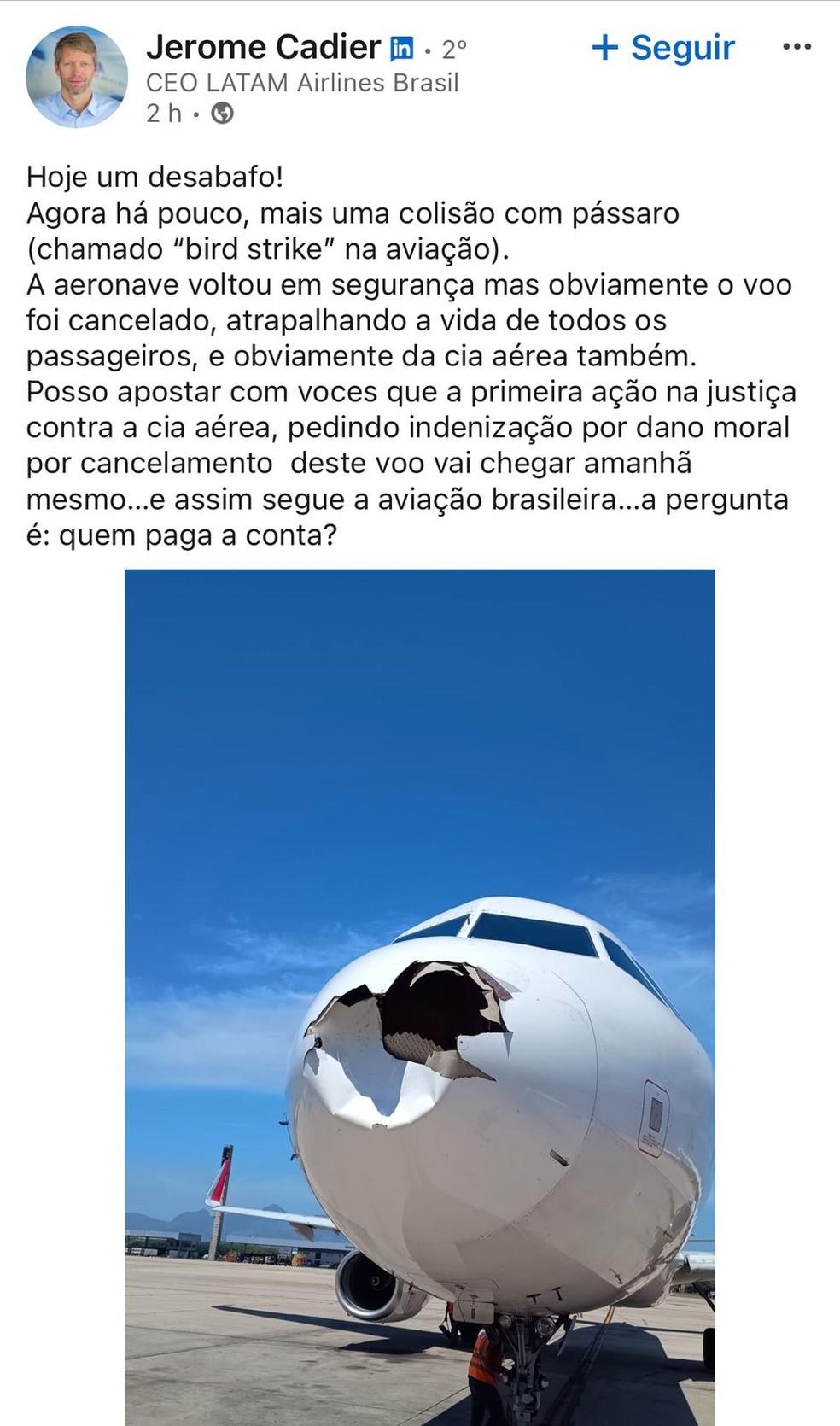 Avio colide com pssaro no Galeo Foto Redes sociais