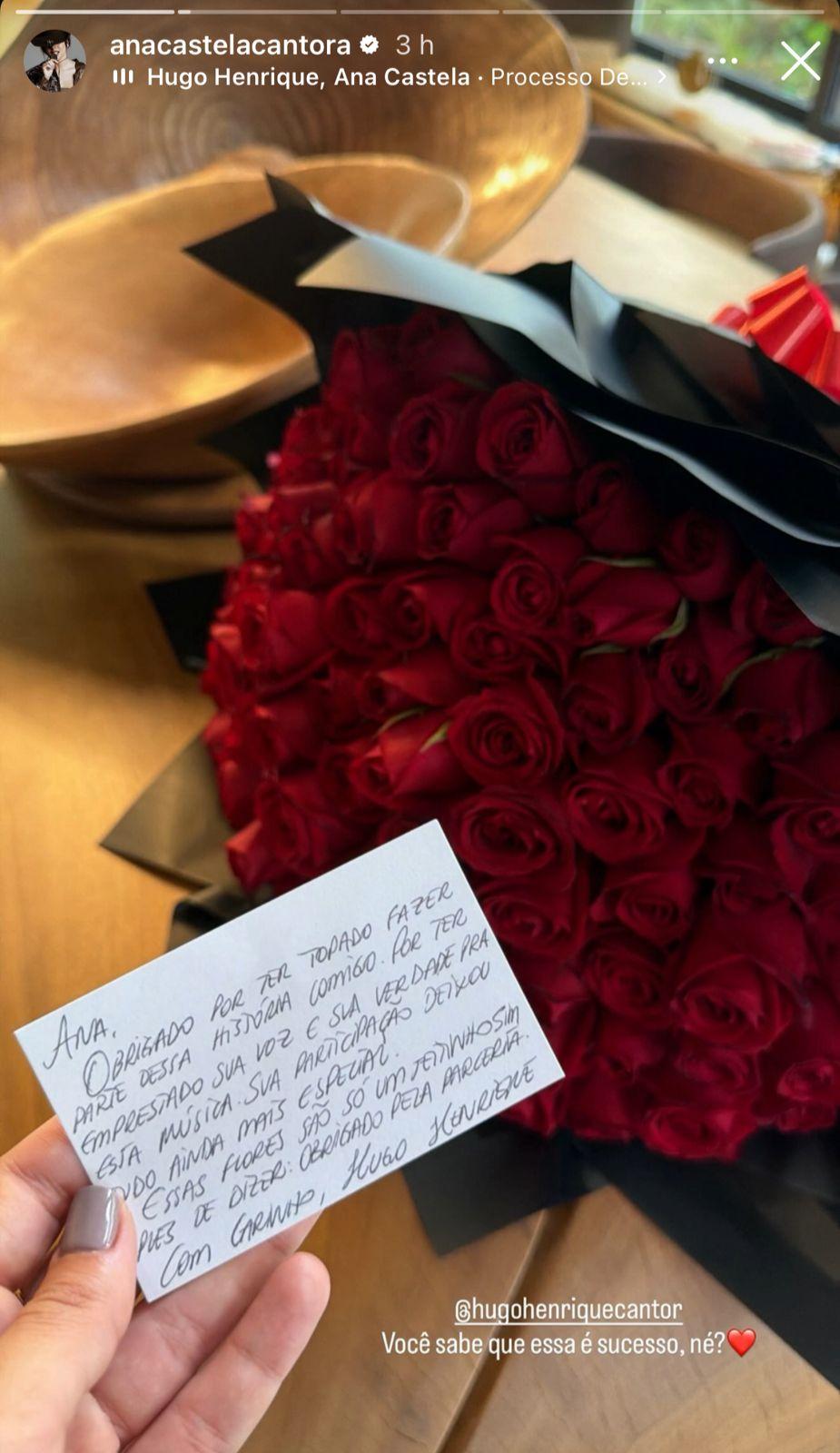 Ana Castela ganha flores ReproduoInstagram